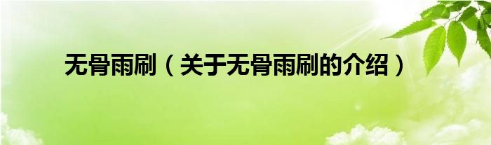无骨雨刷（关于无骨雨刷的介绍）