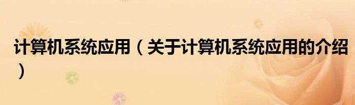 计算机系统应用（关于计算机系统应用的介绍）