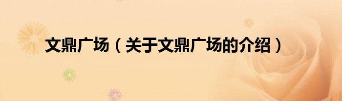 文鼎广场（关于文鼎广场的介绍）