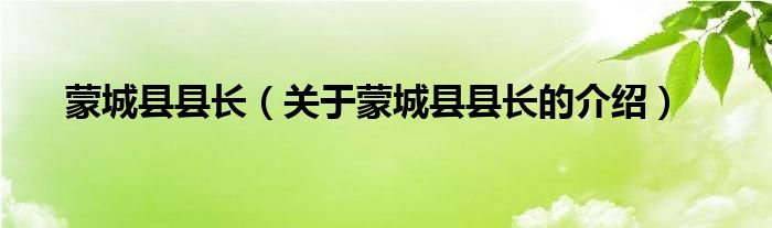蒙城县县长（关于蒙城县县长的介绍）