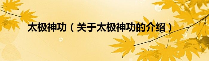 太极神功（关于太极神功的介绍）