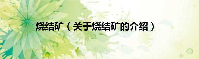 烧结矿（关于烧结矿的介绍）
