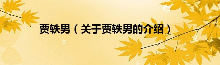 贾轶男（关于贾轶男的介绍）
