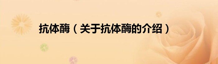 抗体酶（关于抗体酶的介绍）