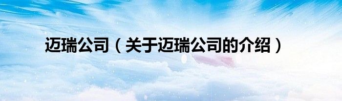 迈瑞公司（关于迈瑞公司的介绍）