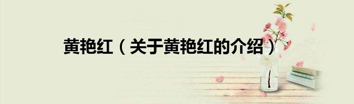 黄艳红（关于黄艳红的介绍）