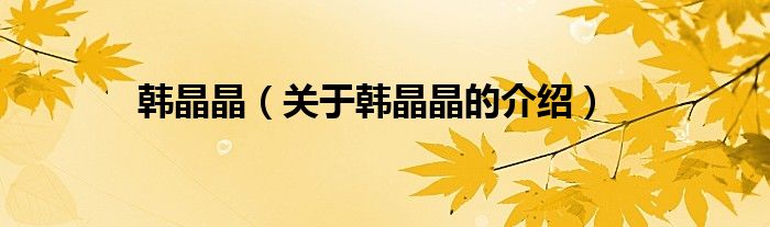 韩晶晶（关于韩晶晶的介绍）