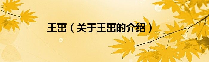 王茁（关于王茁的介绍）