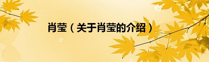 肖莹（关于肖莹的介绍）