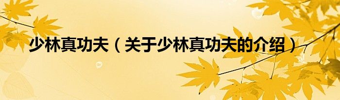 少林真功夫（关于少林真功夫的介绍）