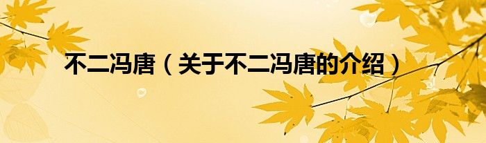 不二冯唐（关于不二冯唐的介绍）