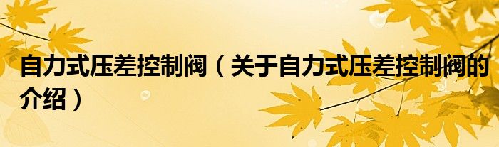 自力式压差控制阀（关于自力式压差控制阀的介绍）
