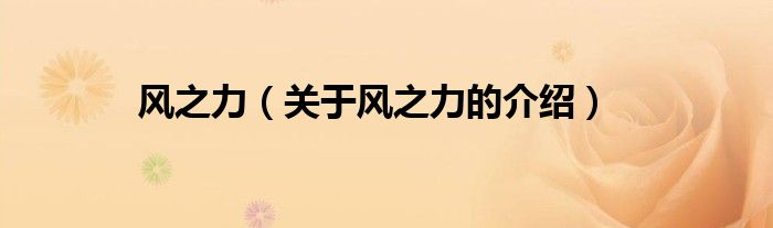 风之力（关于风之力的介绍）