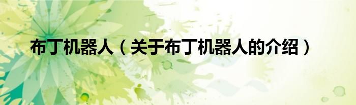布丁机器人（关于布丁机器人的介绍）
