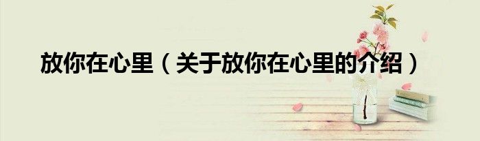 放你在心里（关于放你在心里的介绍）