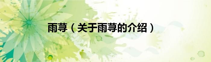 雨荨（关于雨荨的介绍）