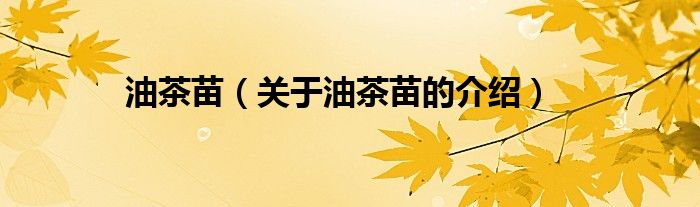 油茶苗（关于油茶苗的介绍）