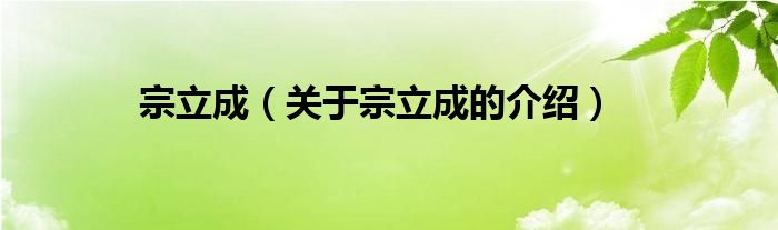 宗立成（关于宗立成的介绍）