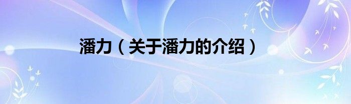 潘力（关于潘力的介绍）