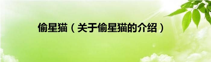 偷星猫（关于偷星猫的介绍）