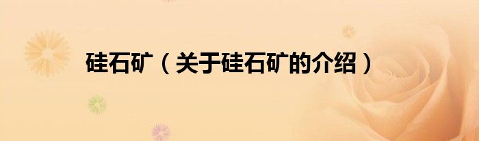 硅石矿（关于硅石矿的介绍）