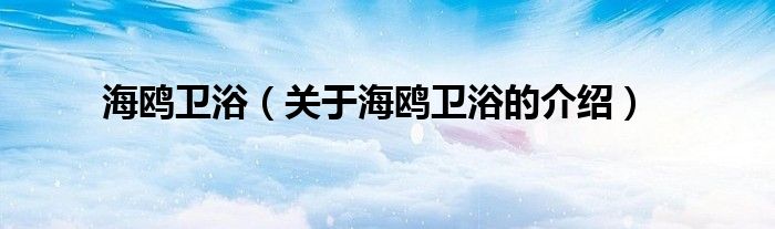 海鸥卫浴（关于海鸥卫浴的介绍）