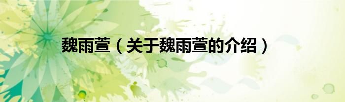 魏雨萱（关于魏雨萱的介绍）