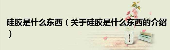硅胶是什么东西（关于硅胶是什么东西的介绍）