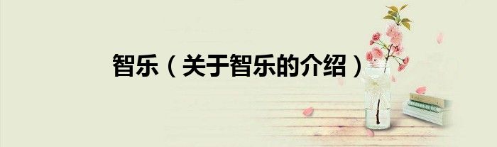 智乐（关于智乐的介绍）