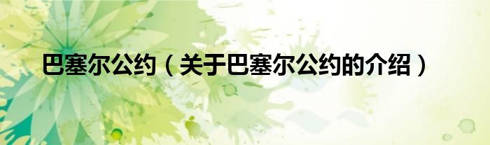 巴塞尔公约（关于巴塞尔公约的介绍）