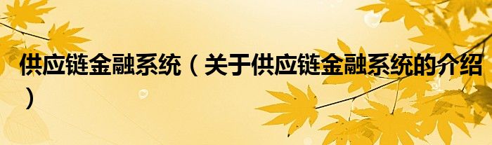 供应链金融系统（关于供应链金融系统的介绍）