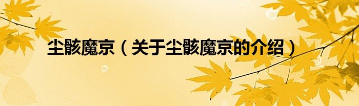 尘骸魔京（关于尘骸魔京的介绍）