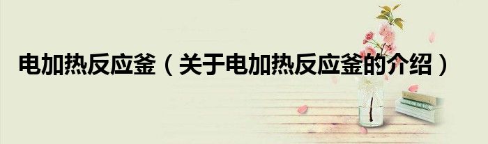电加热反应釜（关于电加热反应釜的介绍）