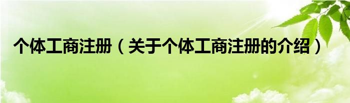 个体工商注册（关于个体工商注册的介绍）