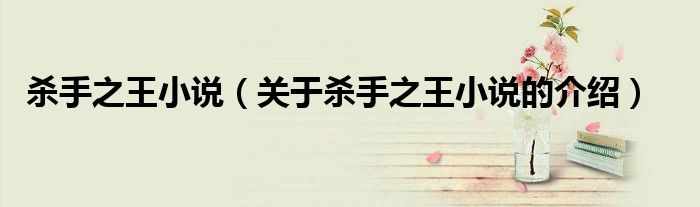 杀手之王小说（关于杀手之王小说的介绍）