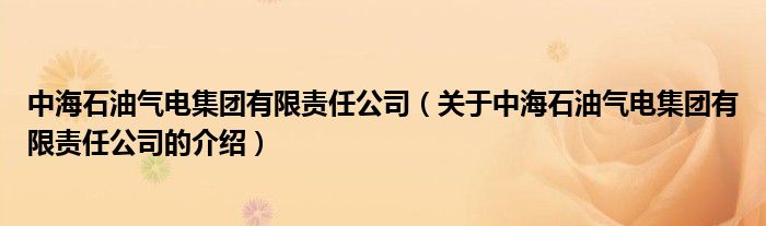 中海石油气电集团有限责任公司（关于中海石油气电集团有限责任公司的介绍）