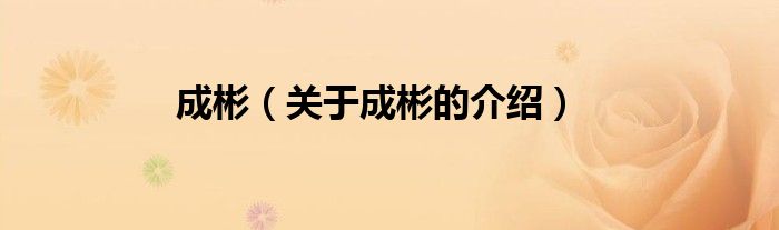 成彬（关于成彬的介绍）