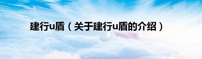 建行u盾（关于建行u盾的介绍）