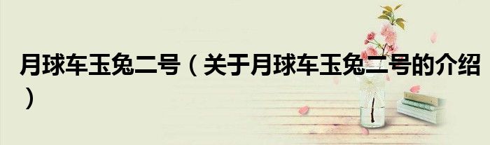 月球车玉兔二号（关于月球车玉兔二号的介绍）