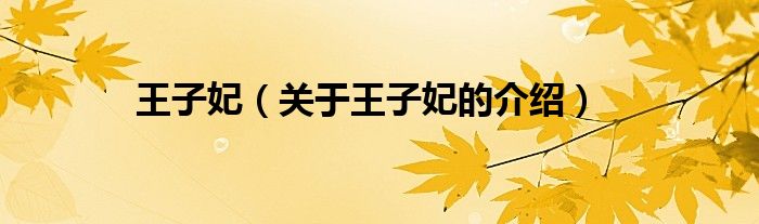 王子妃（关于王子妃的介绍）