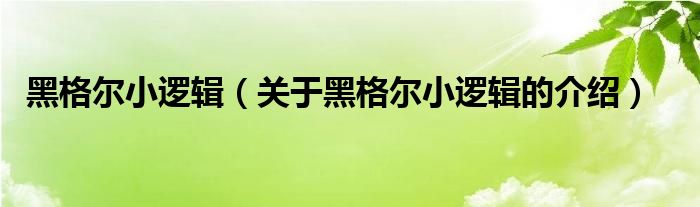 黑格尔小逻辑（关于黑格尔小逻辑的介绍）