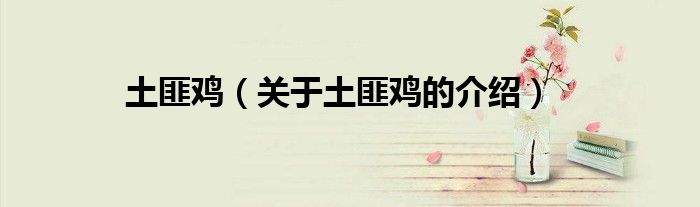 土匪鸡（关于土匪鸡的介绍）