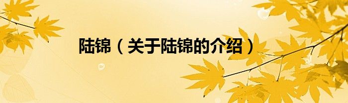 陆锦（关于陆锦的介绍）