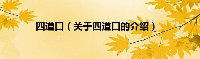 四道口（关于四道口的介绍）