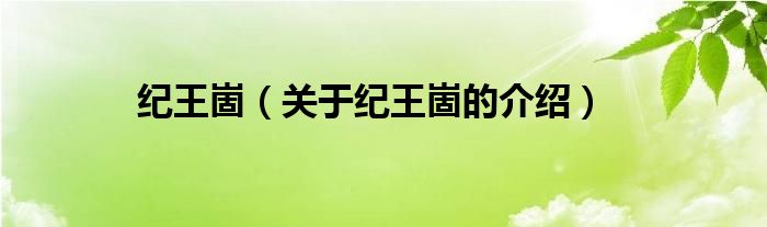 纪王崮（关于纪王崮的介绍）