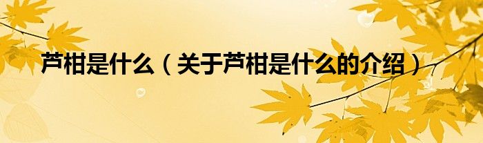芦柑是什么（关于芦柑是什么的介绍）