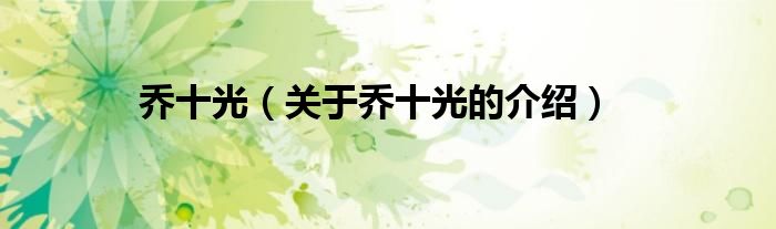 乔十光（关于乔十光的介绍）