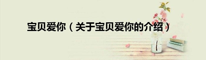 宝贝爱你（关于宝贝爱你的介绍）