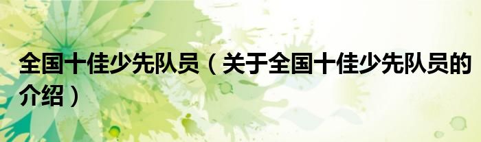 全国十佳少先队员（关于全国十佳少先队员的介绍）
