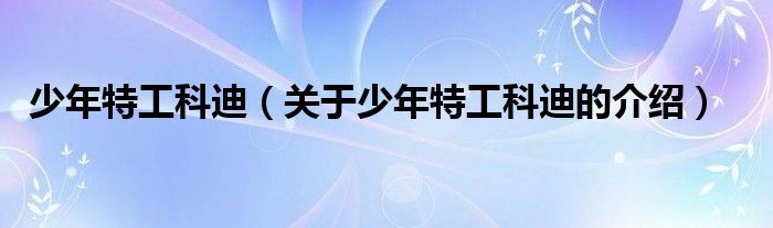 少年特工科迪（关于少年特工科迪的介绍）